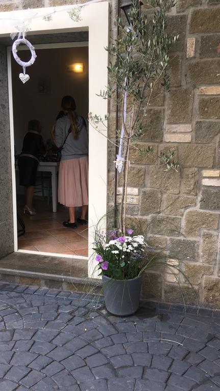 דירות טרוויניאנו רומאנו Il Poggio Degli Ulivi מראה חיצוני תמונה
