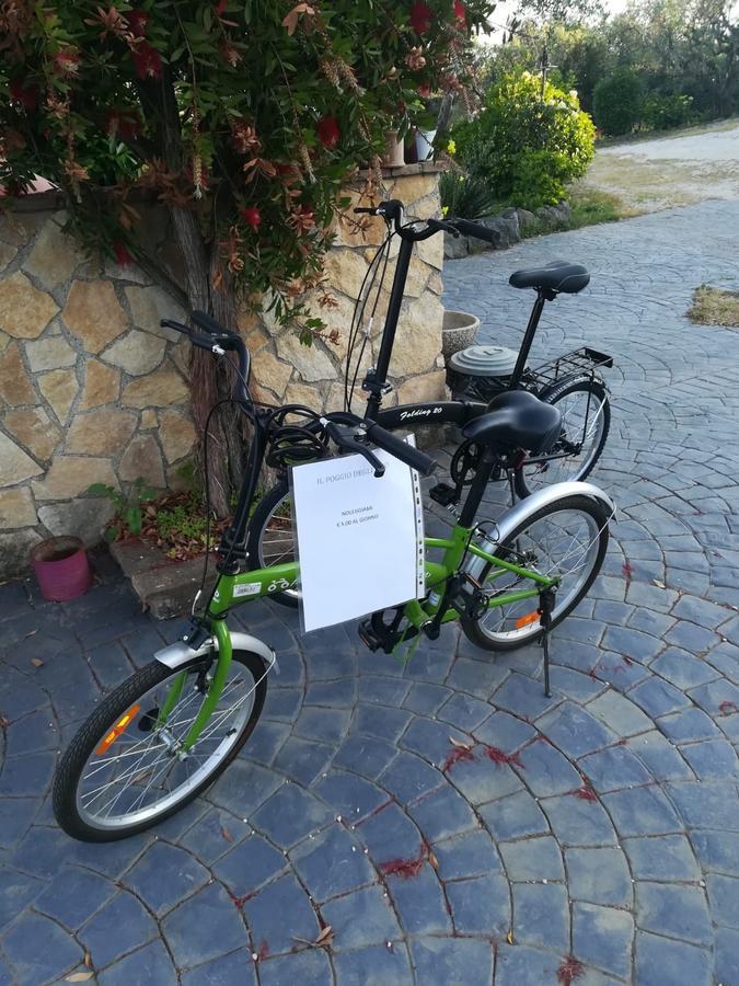 דירות טרוויניאנו רומאנו Il Poggio Degli Ulivi מראה חיצוני תמונה