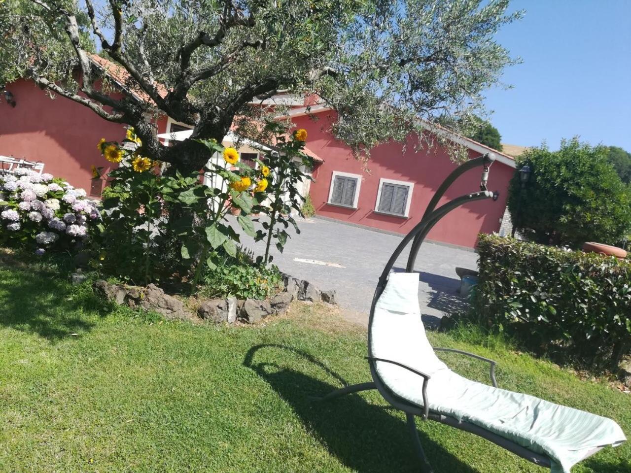 דירות טרוויניאנו רומאנו Il Poggio Degli Ulivi מראה חיצוני תמונה