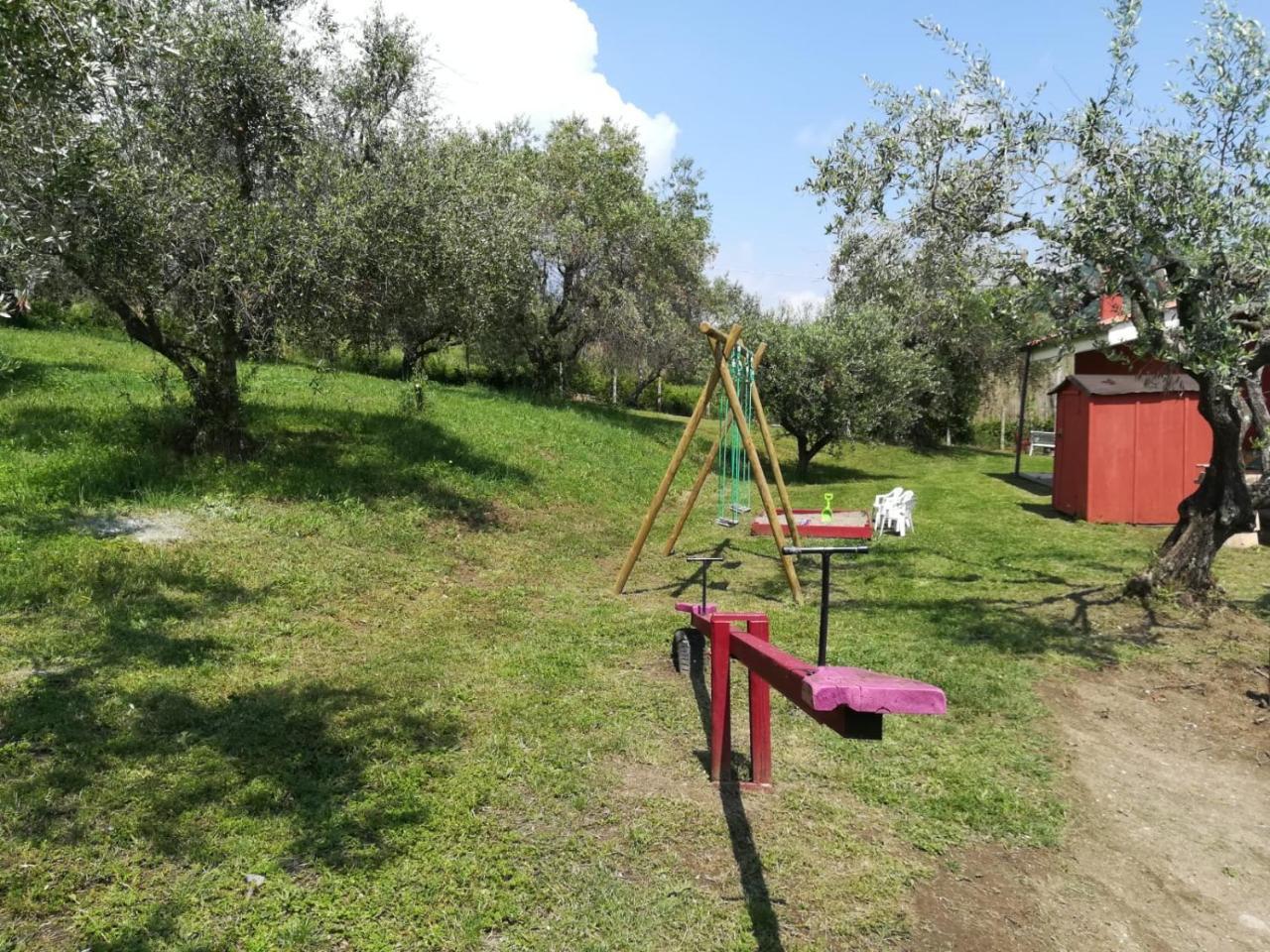 דירות טרוויניאנו רומאנו Il Poggio Degli Ulivi מראה חיצוני תמונה