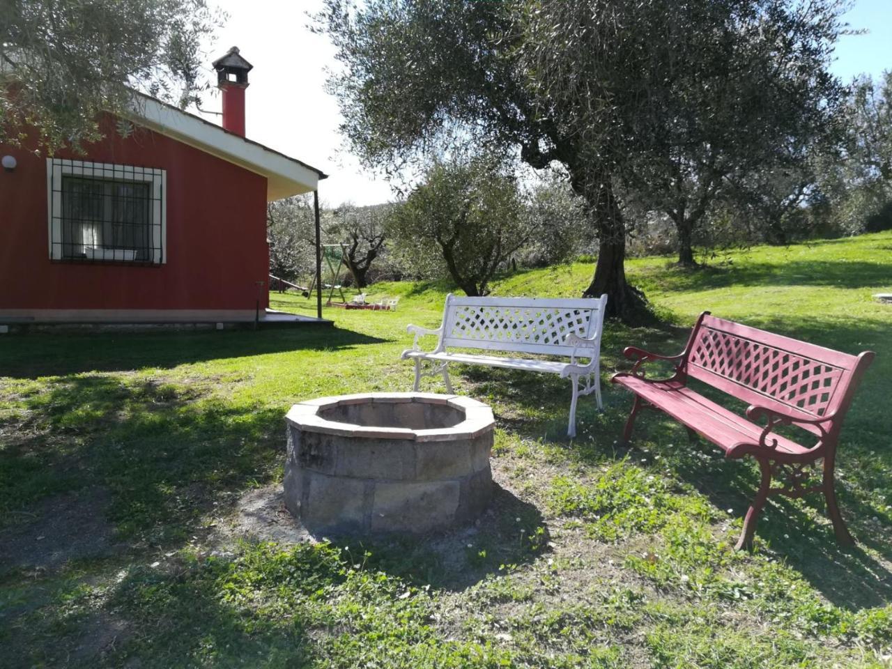 דירות טרוויניאנו רומאנו Il Poggio Degli Ulivi מראה חיצוני תמונה