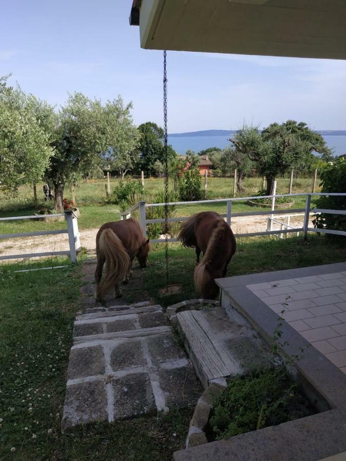 דירות טרוויניאנו רומאנו Il Poggio Degli Ulivi מראה חיצוני תמונה